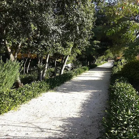 Zd Апартаменти