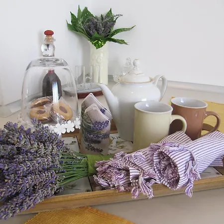 Апартаменти Zd