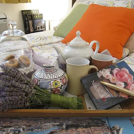 شقة Zd زادار